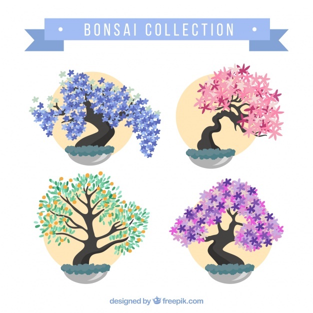 Bonsai Vectors, Photos And Free Download 626x626 Bonsai Vectors, Photos And Free Download