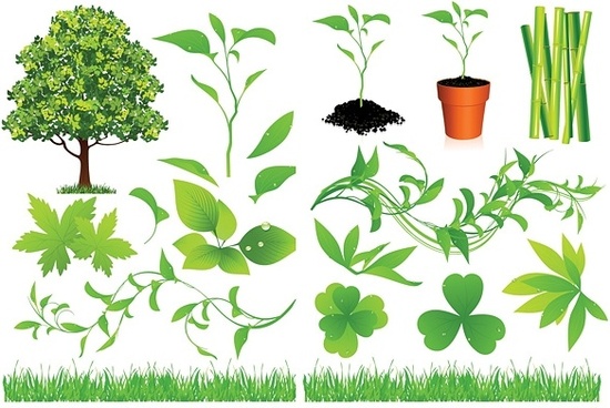 Bonsai Vector Free Vector Download 550x368 Bonsai Vector Free Vector Download