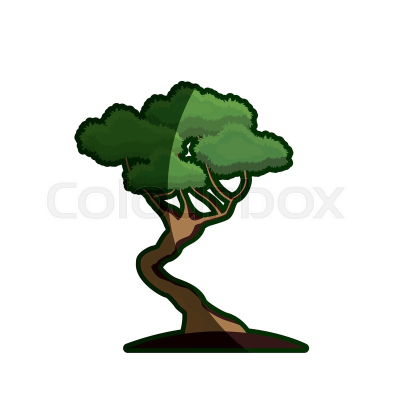 Cartoon Bonsai Tree Natural Foliage Stock Vector Colourbox 800x800 Cartoon Bonsai Tree Natural Foliage Stock Vector Colourbox