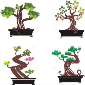 Black Vector Tree Illustration Of Bonsai Gm Lamaison 300x300 Black Vector Tree Illustration Of Bonsai Gm Lamaison