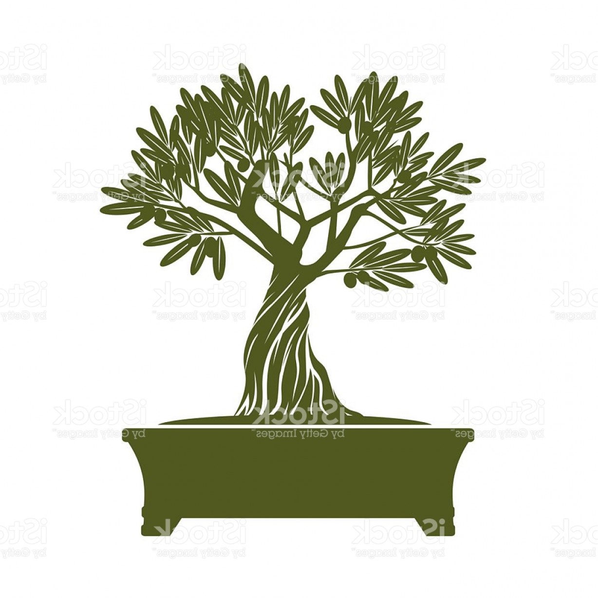 Green Vector Olive Tree Illustration Of Bonsai Gm Createmepink 1228x1228 Green Vector Olive Tree Illustration Of Bonsai Gm Createmepink