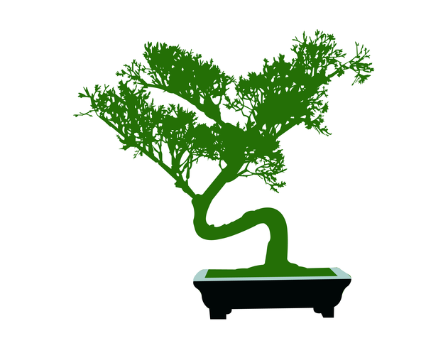 Japanese Bonsai Miniature Tree Cartoon Vector 631x490 Japanese Bonsai Miniature Tree Cartoon Vector