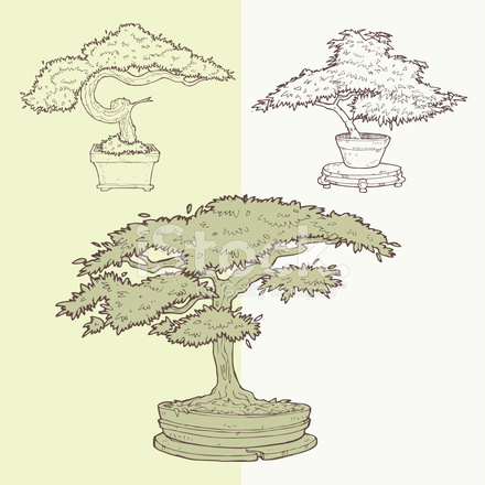 Vector Illustration Of Bonsai Trees's Drawing Stock Vector 440x440 Vector Illustration Of Bonsai Trees's Drawing Stock Vector
