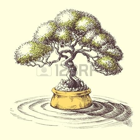 Bonsai Drawing 450x450 Bonsai Drawing