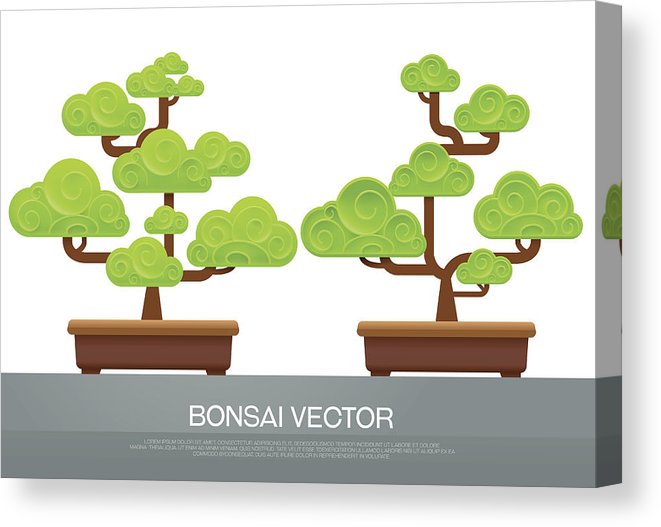 Bonsai Canvas Print Canvas Art 661x527 Bonsai Canvas Print Canvas Art