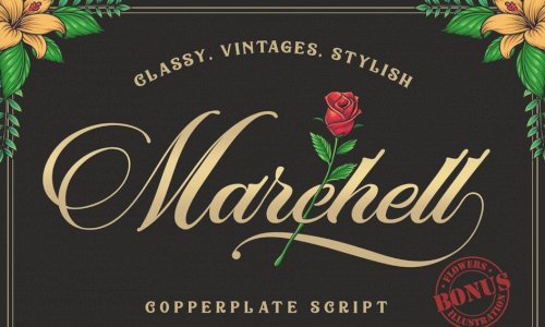 Download Marchell + Bonus Vector Flowers 500x300 Download Marchell + Bonus Vector Flowers