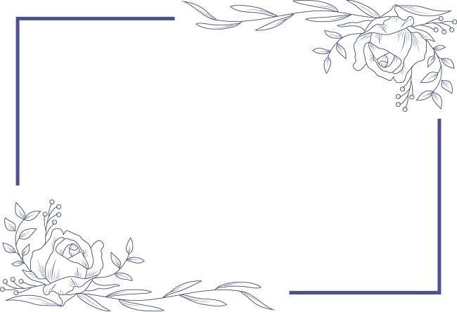 650x444 Flowers Border Png Vector