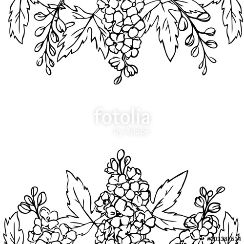 500x500 Vector Contour Delphinium Flowers Coloring Book Border Frame