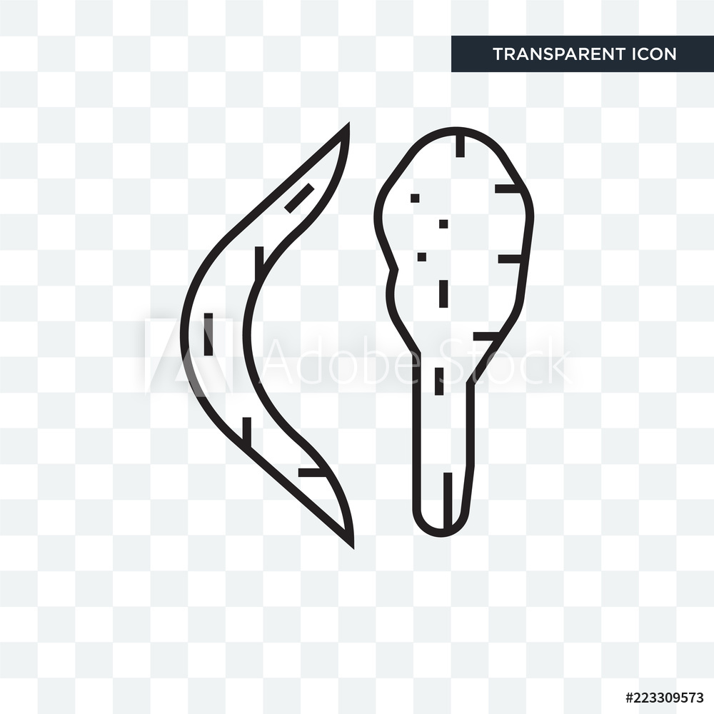 1000x1000 Photo Art Print Boomerang Vector Icon Isolated On Transparent