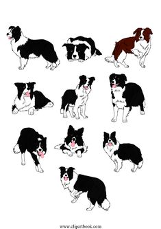 Border Collie Silhouette Vector