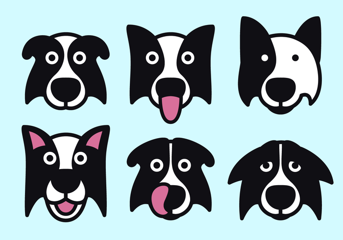 700x490 Border Collie Free Vector Art