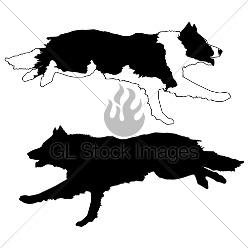 Download Border Collie Silhouette Vector at Vectorified.com ...