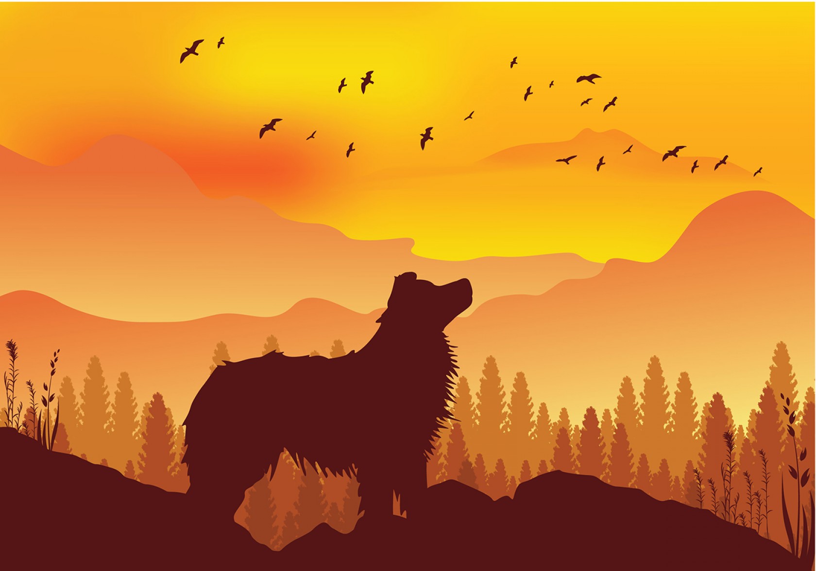 1680x1176 Border Collie Silhouette Free Vector Geekchicpro