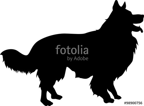 500x368 Border Collie Silhouette Stock Image And Royalty Free Vector