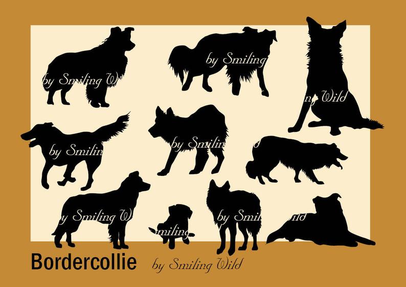 794x561 Border Collie Border Colly Silhouette Cliart Puppy Clip Etsy