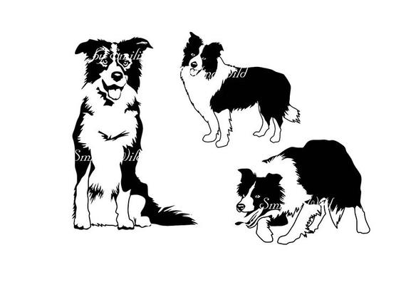 Download Border Collie Silhouette Vector at Vectorified.com ...