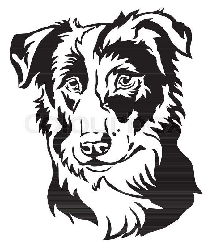 686x800 Decorative Portrait Of Dog Border Stock Vector Colourbox