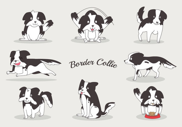 632x443 Free Border Collie Vectors Free Vector Download Cannypic