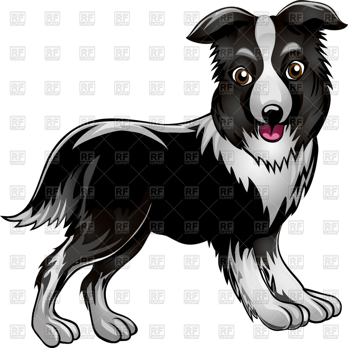 1200x1200 Funny Border Collie Drawn In Cartoon Style Vector Image Of Plants
