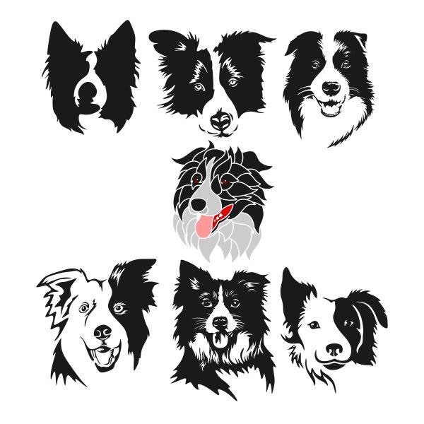 600x600 Animals Border Collie Art, Border