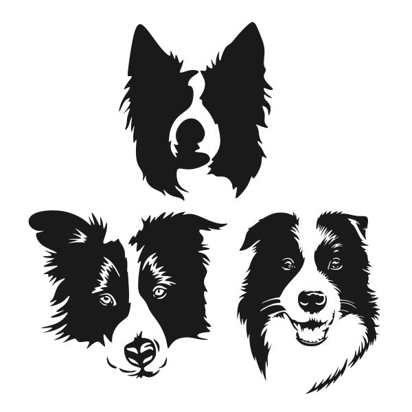 600x600 Animals Dog Silhouette, Border Collie
