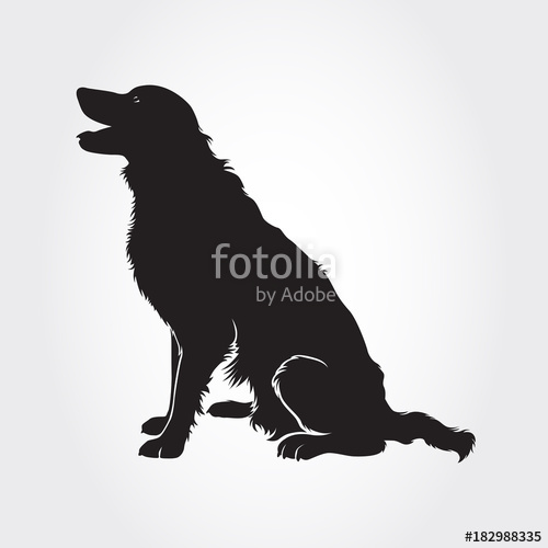 500x500 Vector Border Collie Dog Silhouette Stock Image And Royalty Free