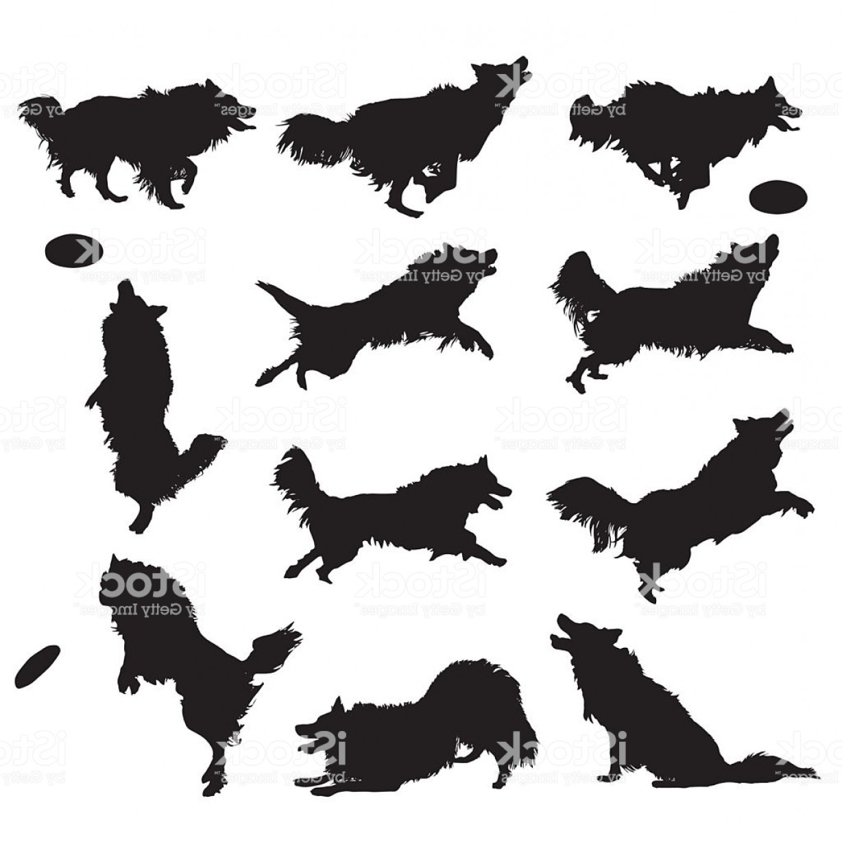 Download Border Collie Silhouette Vector at Vectorified.com ...