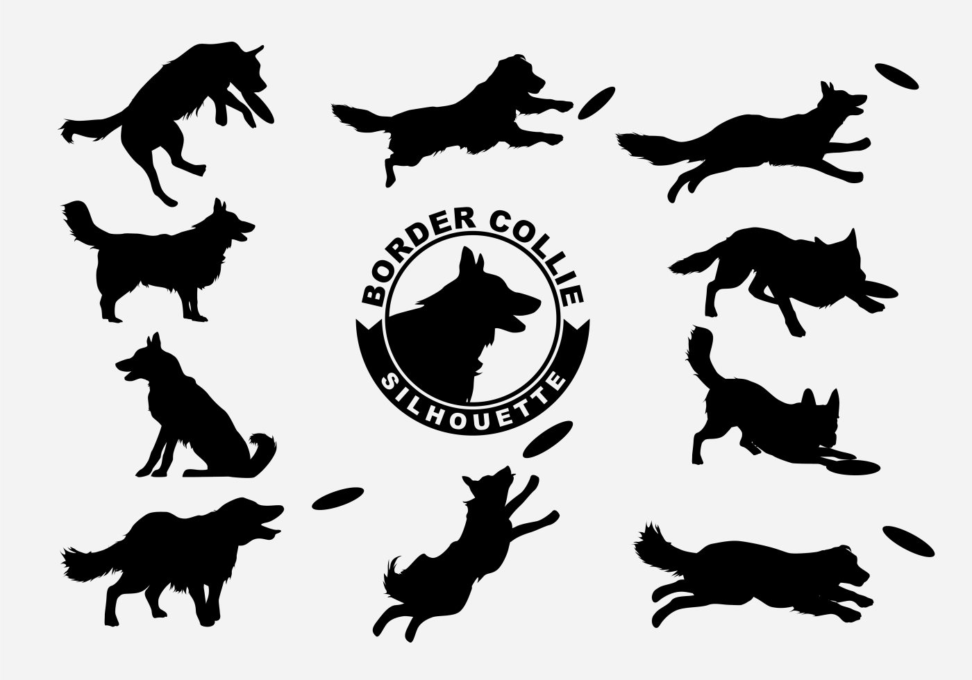 1400x980 Set Of Border Collie Silhouette On White Background, Vector