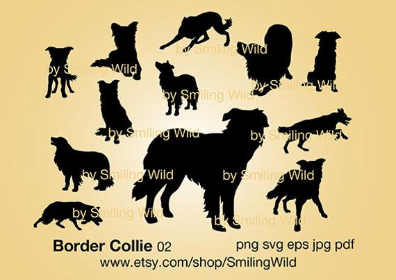 570x403 Border Collie Dog Clipart Cricut Border Collie Etsy