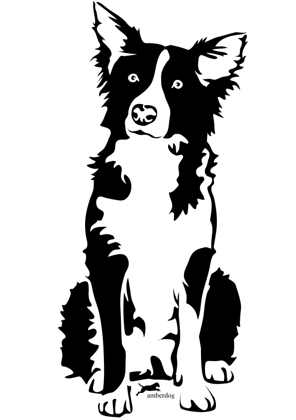 595x842 Border Collie Clipart Free