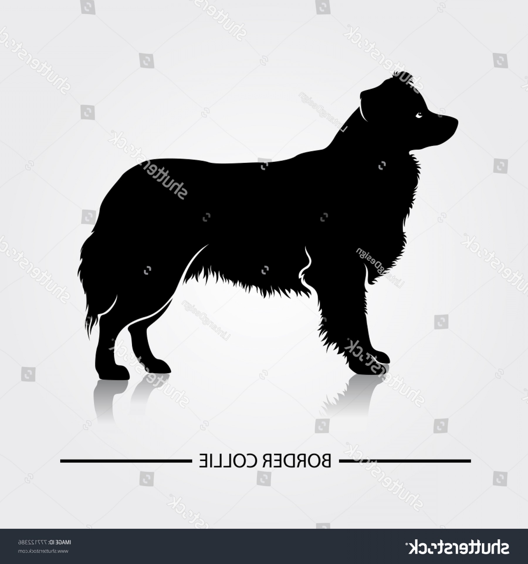 Download Border Collie Silhouette Vector at Vectorified.com ...