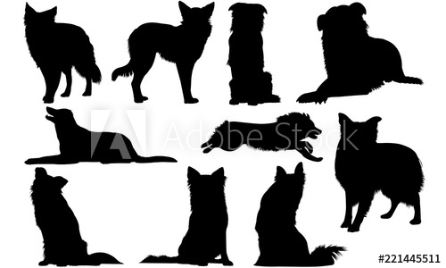 500x300 Border Collie Dog Cricut, Silhouette Clip Art, Vector