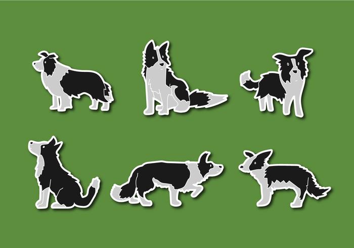 700x490 Border Collie Free Vector Art