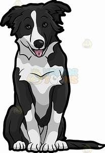 Border Collie Vector