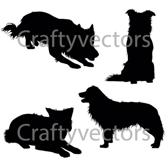 570x570 Border Collie Silhouettes Vector Etsy