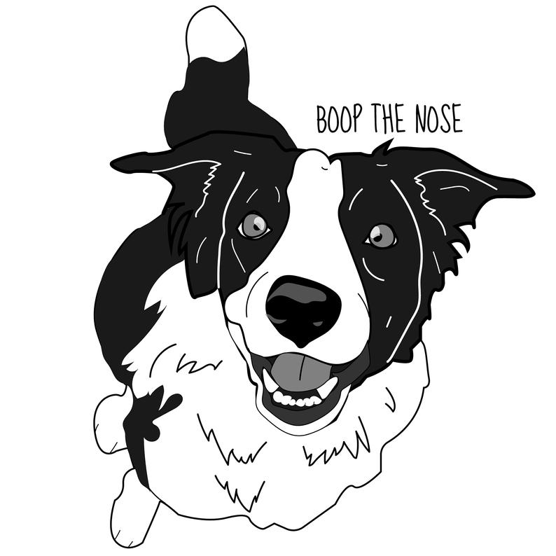 794x794 Border Collie Vector Dog Illustration Cute Boop Nose Etsy