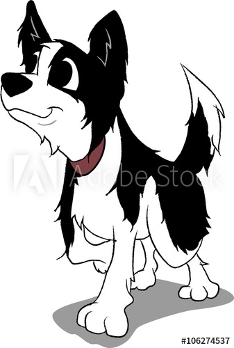 337x500 Border Collie