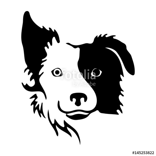 Border Collie Vector at Vectorified.com | Collection of Border Collie ...