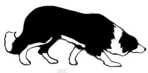 495x247 Collection Of 'border Collie Silhouette Clip Art' Download More