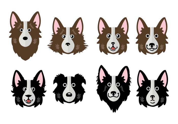 700x490 Free Border Collie Vector Illustration