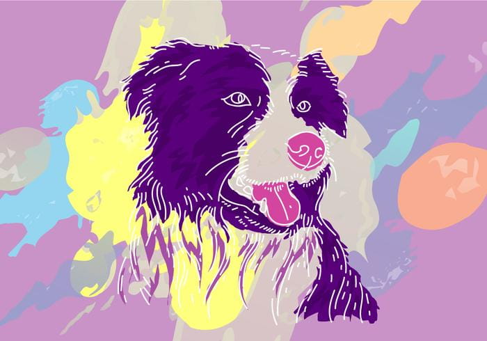 700x490 Free Border Collie Vector Illustration Free