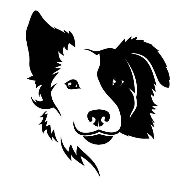 600x600 Vector Eye Border Collie Wall Tattoo
