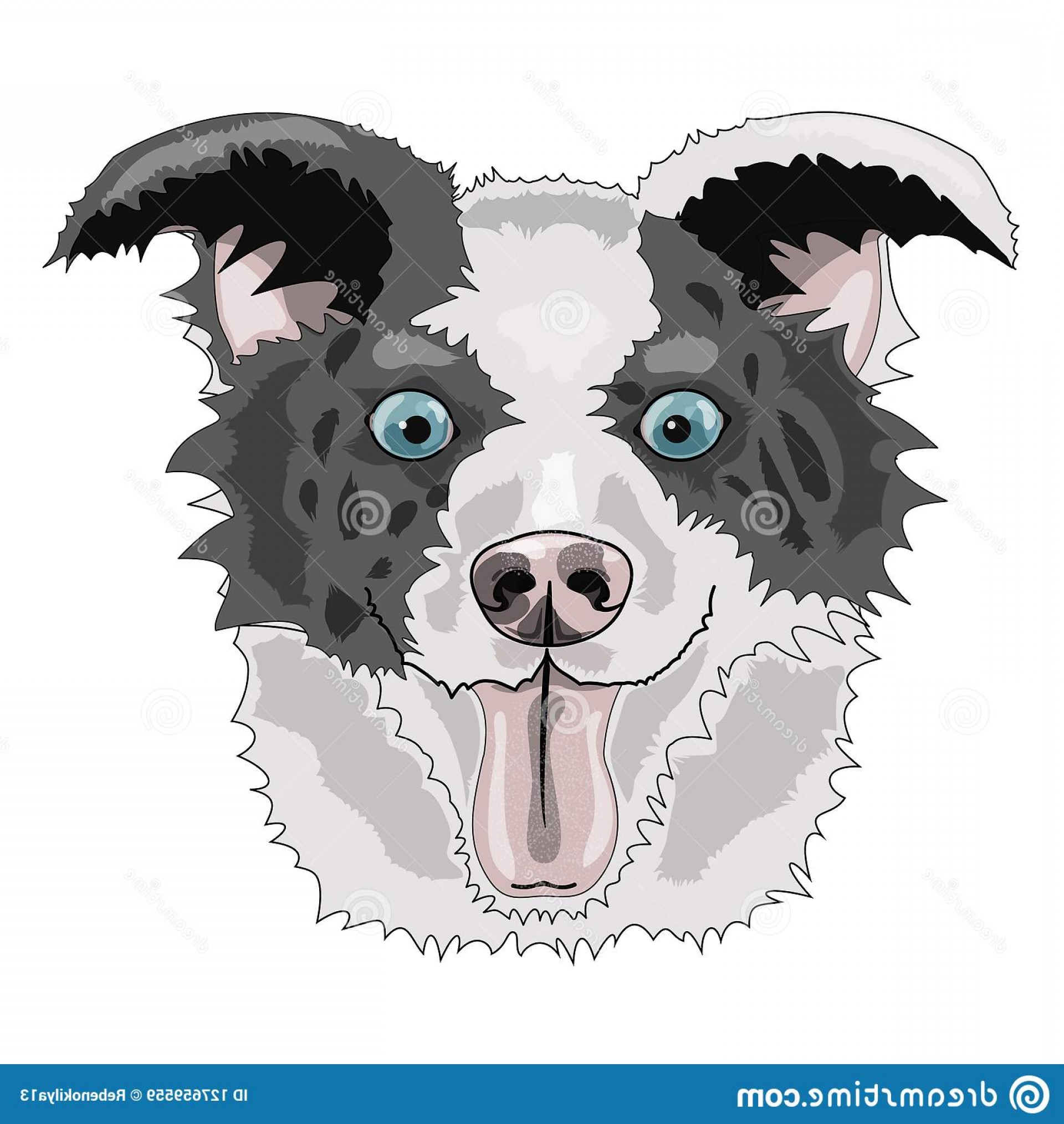 1920x2028 Vector Illustration Dog Blue Eyes Scetch Vector Graphics Colored