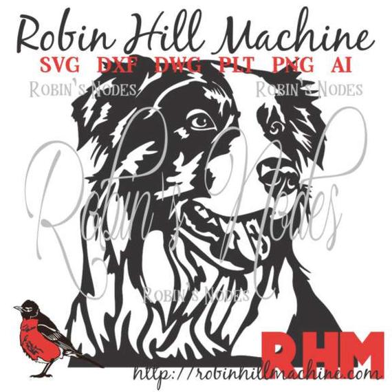 570x570 Border Collie Dog Detailed Vector For Laser And Etsy