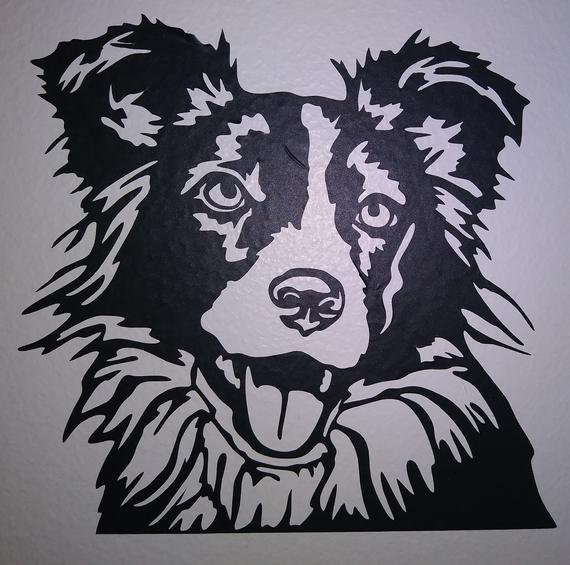 570x565 Border Collie Dog Detailed Vector For Laser And Cricut