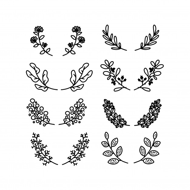 626x626 Flower Leaves Botanical Wedding Border Elements Vector Set Vector