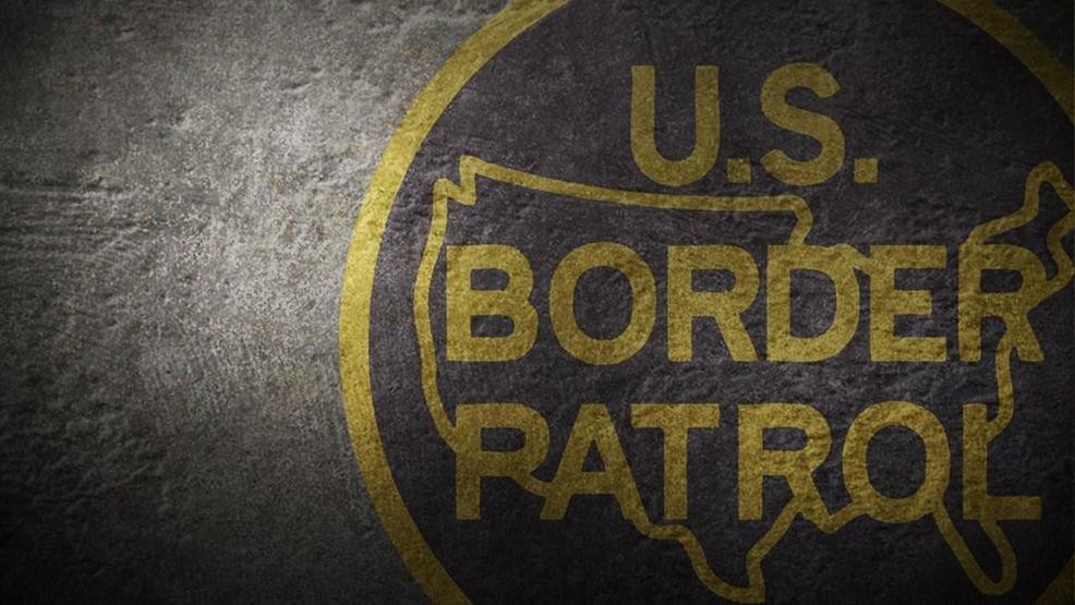 Download Border Patrol Logo Vector at Vectorified.com | Collection ...