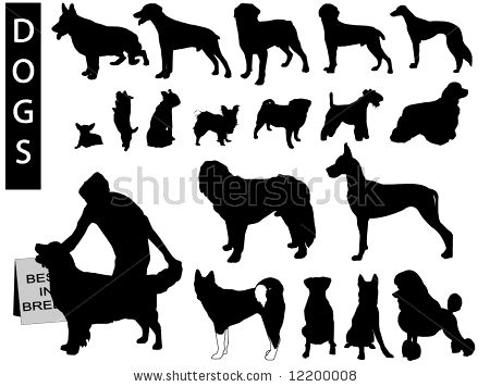 450x356 Boston Terrier Silhouette Vector Photo