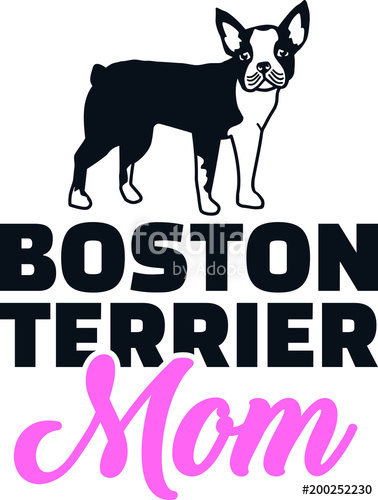 378x500 Boston Terrier Mom Silhouette Stock Image And Royalty Free Vector