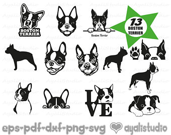 340x270 Boston Terrier Etsy